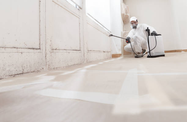24/7 Emergency Mold Remediation experts in Lillington, NC